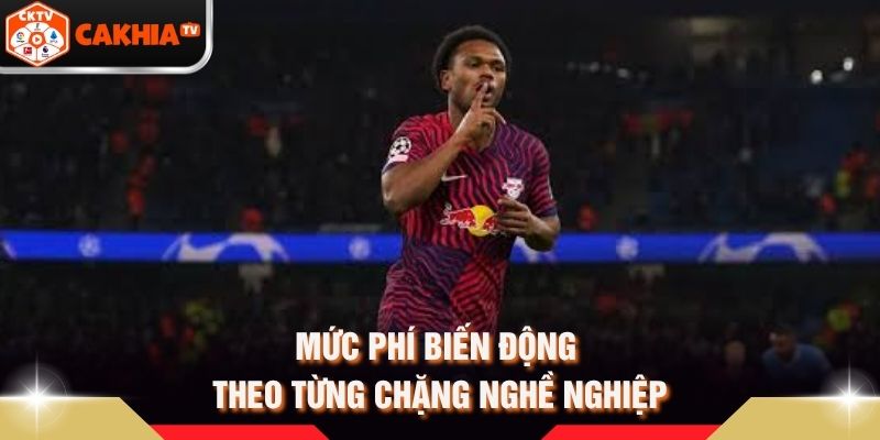 Mức phí biến động theo từng chặng nghề nghiệp